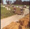 Bild 0003a.jpg